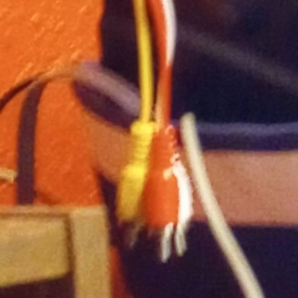 Meet your Posher, Silas - Picture 1 of 1